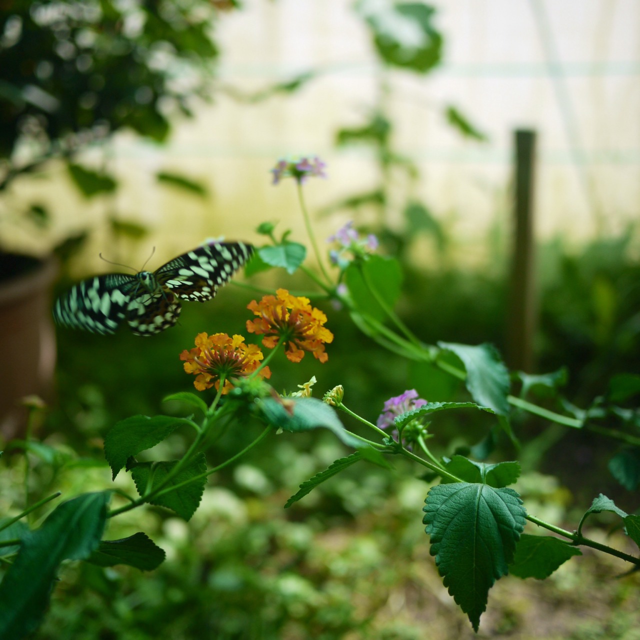 A Day At The Zoo in Bojnice