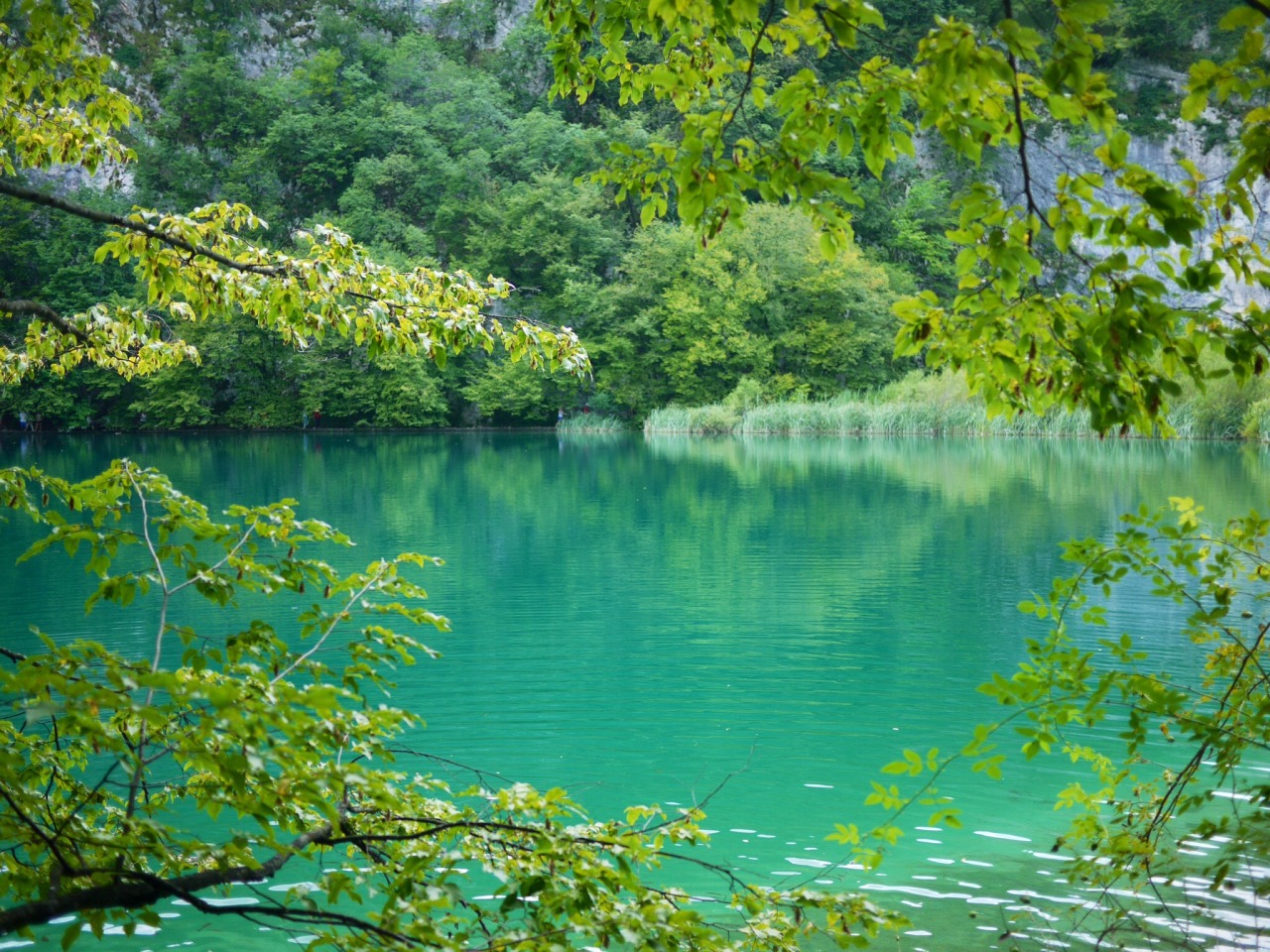 Back To Nature at Plitvicka Lakes, Croatia